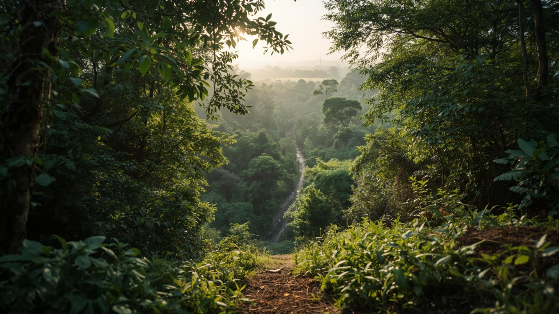 Cultural Landscapes Under Threat: Sacred Forests, Pilgrimage Routes and Modern Development